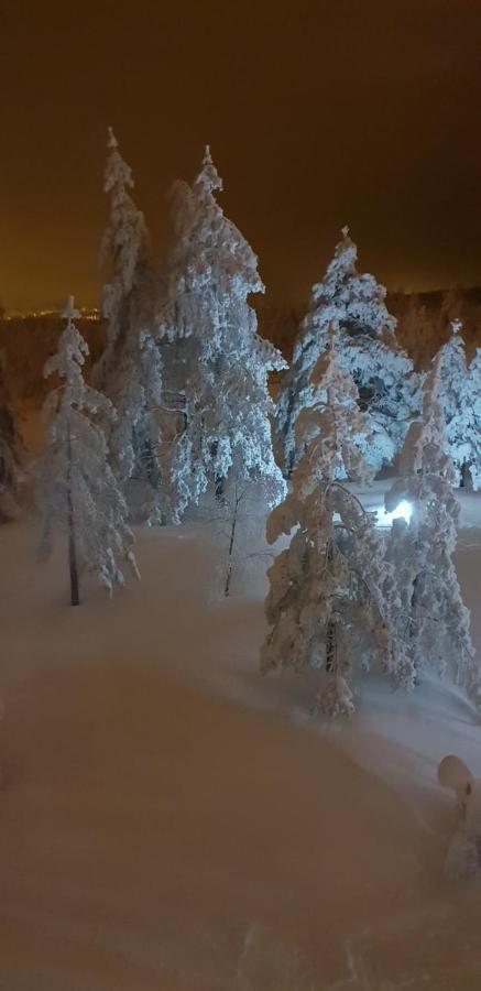 Apartman Mina Divčibare Esterno foto